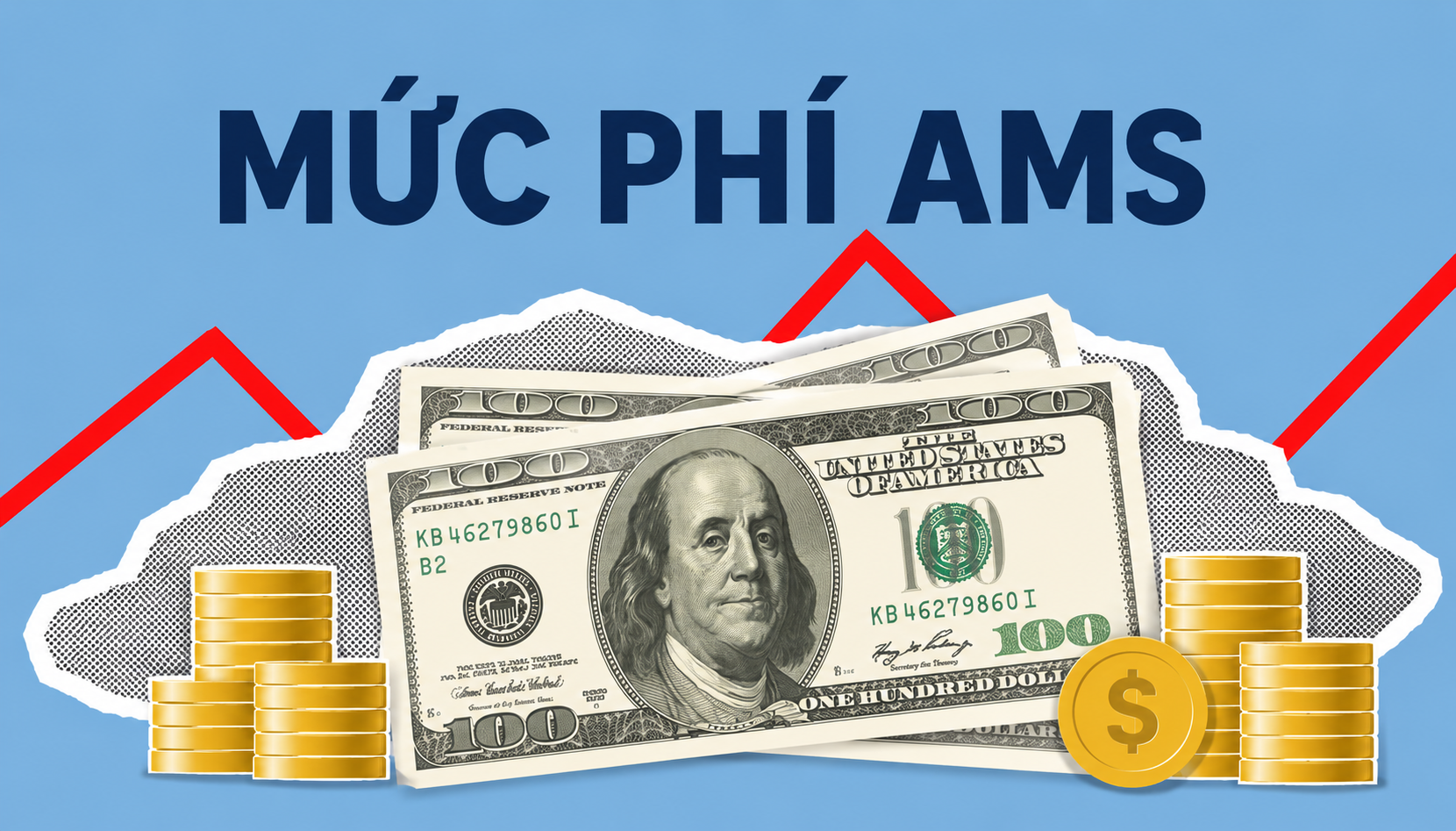 AMS là gì? Giải thích chi tiết trong xuất nhập khẩu