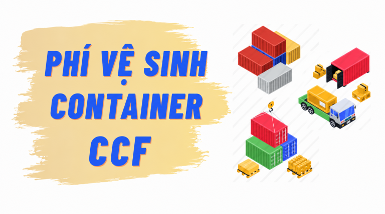 Phí CCF là gì? Vai trò của phí CCF trong vận tải container